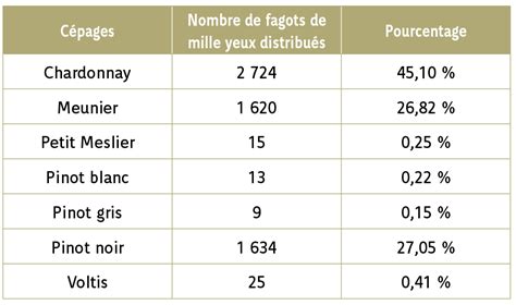 Campagne De Greffons Et De Porte Greffes 2023 Le Vigneron Champenois