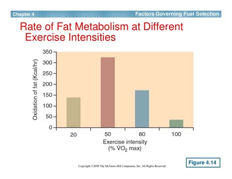 exercise metabolism