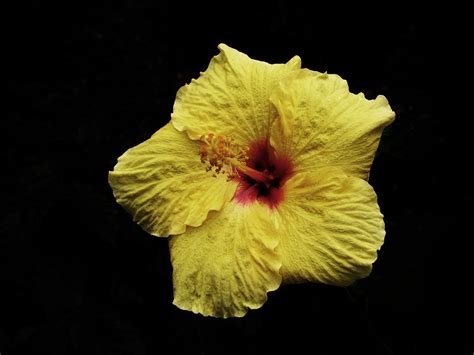 I Still Need Healing When Sex Hurts There Is HopeWhen Sex Hurts There Is Hope