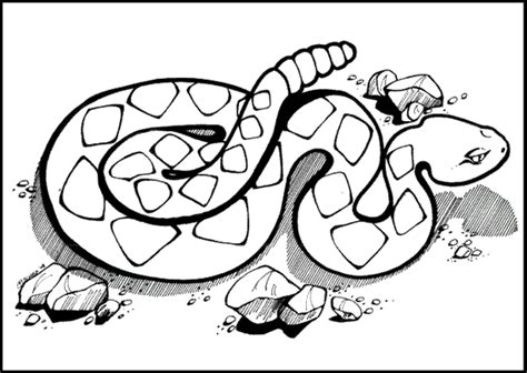 The Best Rattlesnake Coloring Pages For All Ages Coloring Pages