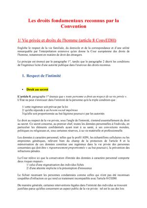 Droit Européen des Droits de l Homme Droit des droits de lHomme la