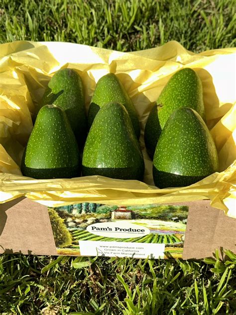 Ettinger Avocado Box 6 Count Pamsproduce