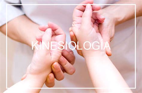 Curso De Kinesiolog A Cu Ntica M Laga Escuela Cham N