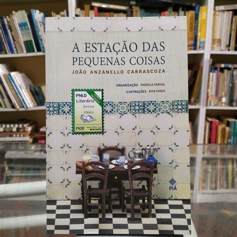 A Estação Das Pequenas Coisas - A ESTAÇÃO DAS PEQUENAS COISAS autor JOÃO ANZANELLO CARRASCOZA | Shopee ...