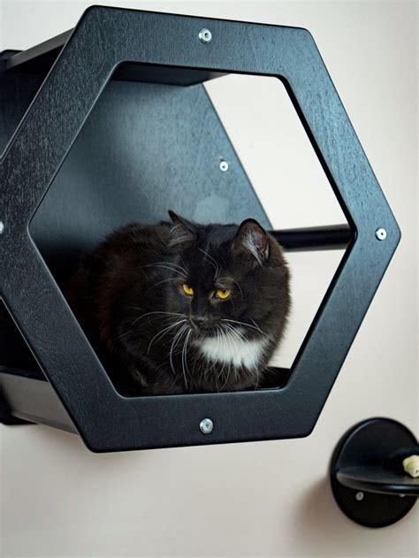 Hexagon Cat Shelf Cat Steps On Wall Cat Wall Climbing Cat Etsy