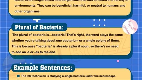 Grammar Archives Page 13 Of 70 Eslbuzz