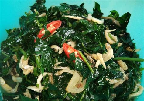 Resep Tumis Daun Pepaya Newstempo