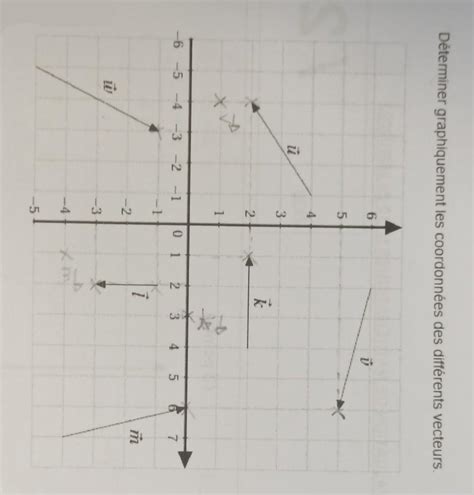 D Terminer Graphiquement Les Coordonn Es Des Diff Rents Vecteurs