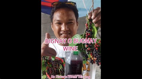 Bignaymorebenefits Paano Gumawa Ng Bignay Wine Step By Step Youtube