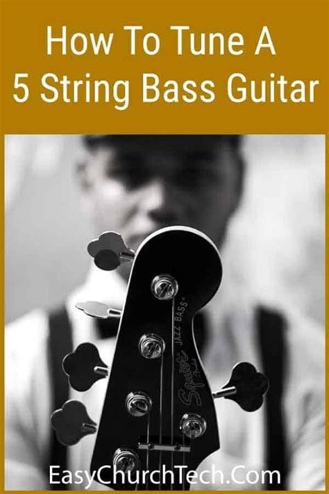 The Complete Guide To A Standard Bass Tuning Adgc Bassox