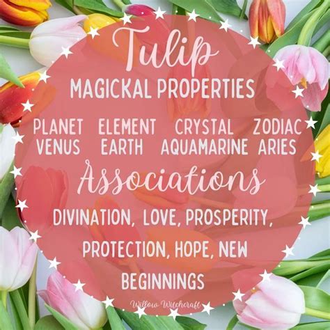 Willow Witchcraft On Instagram Today S Herb Of The Week Is Tulip