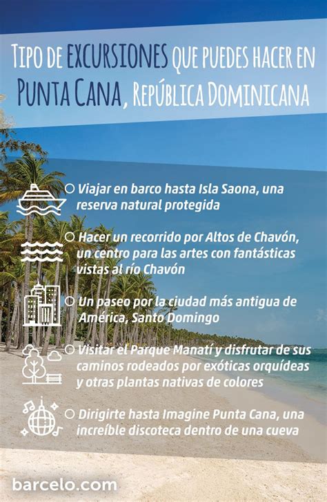 ¿qué Tipo De Excursiones Puedes Hacer En Punta Cana Punta Cana Guia