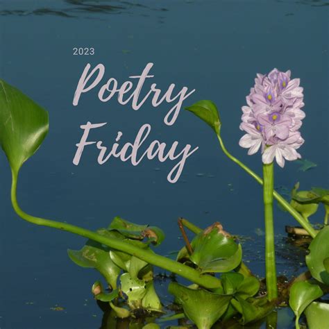 Poetry Friday Sudoku Poem Reflections On The Teche