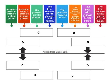 Controlling Blood glucose concentration - Negative feedback loop ...