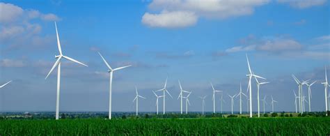 Energie Contre Nature La Salamandre