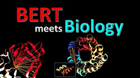 Bertology Meets Biology Interpreting Attention In Protein Language