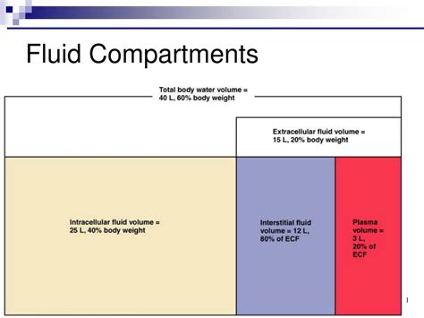 Ppt Body Fluid Compartments And Physiological Solutions Powerpoint