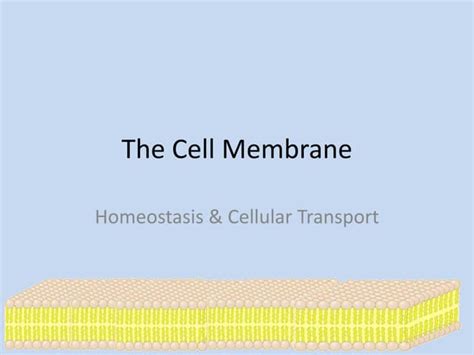 Celltransportpptx