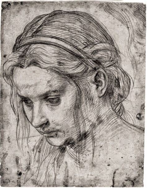 Andrea Del Sarto High Renaissance Painter Portrait Drawing Face