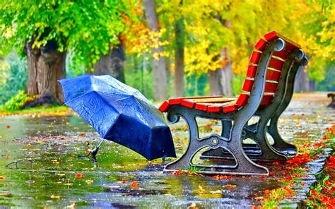 Autumn Rain Fall Leaves Wet Bench Umbrella Rain Trees Autumn