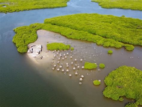 Excursion Priv E L Ile Aux Coquillages Joalfadiouth Au S N Gal