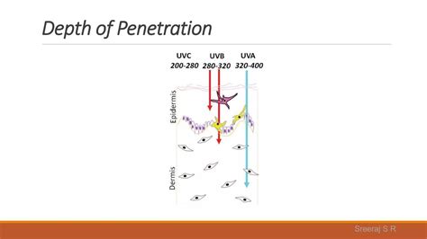 Ultraviolet Radiation In Physiotherapy Ppt