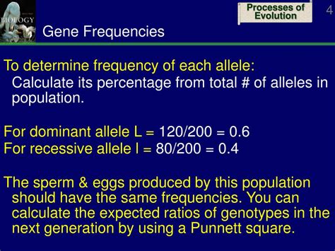 Ppt Microevolution Powerpoint Presentation Free Download Id1090357