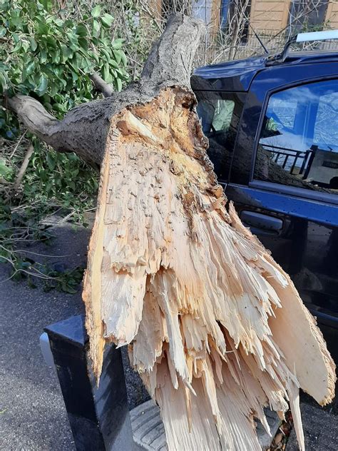 Il Maltempo Sferza Palermo Cadono Alberi Ovunque Tronco Su Un Auto In