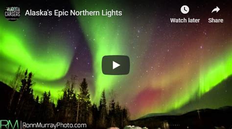 Churchill Weekly Video – Aurora Borealis - Churchill Polar Bears