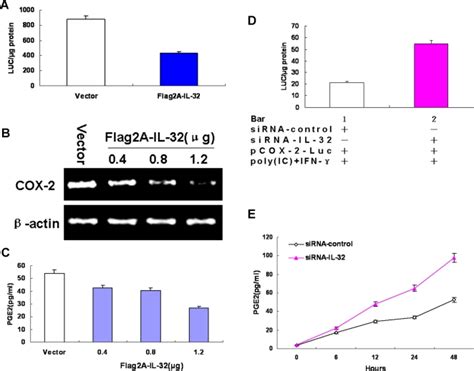 Reporter Plasmid Pcox 2 Luc A And Prl Tk Were Cotransfected Along