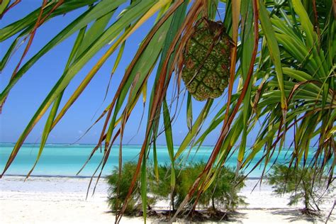 Bonnes Raisons De Partir En Vacances Zanzibar