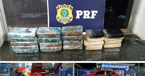 Barreiras ajuda de cão farejador PRF apreende maconha cocaína e