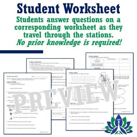 Respiratory System Stations Activity Flying Colors Science