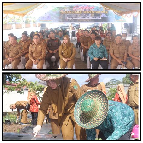 Pj Bupati Nunu Andriani Gertam Cabai Warnai Peringatan Hkg Pkk Ke