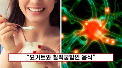 요거트 ‘이렇게 먹으면 만성염증이 싹 사라집니다 하이라이트