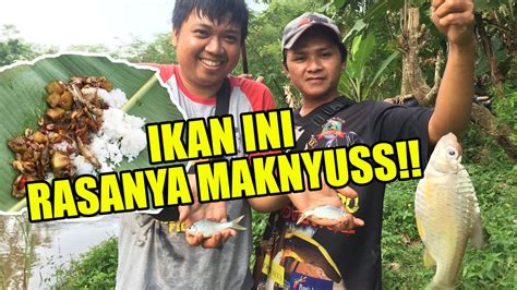 Mancing Ikan Langsung Dimasak Ala Chef Samuel Youtube