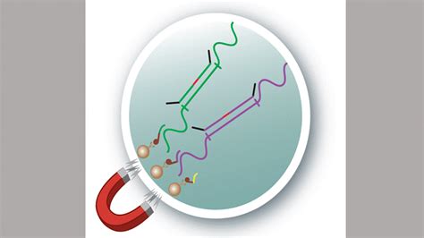 Covid Story Tip Scientists Are Building More Comprehensive Tests