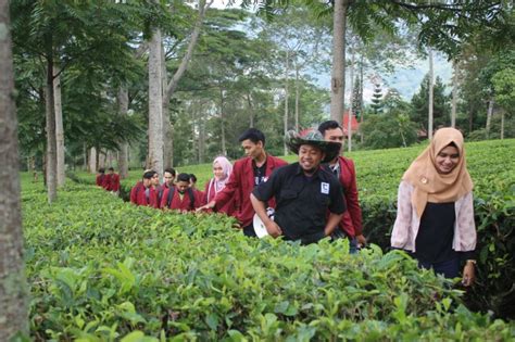 Pengenalan Teknik Ubinan Dalam Menghitung Produktivitas Padi Kelompok