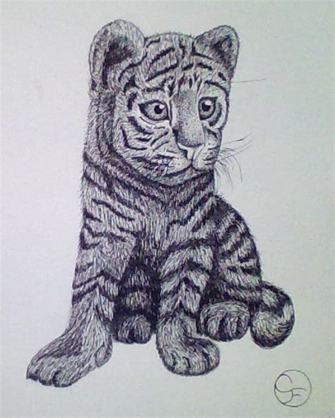 Tiger Pen And Ink By Ravenheart316 On Deviantart