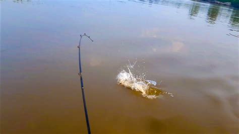 Meledak Waktu Emas Memancing Ikan Hampala Sebarau Youtube