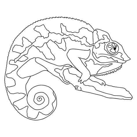 Un Camaleon Para Colorear Imprimir E Dibujar Coloringonlycom Porn Sex