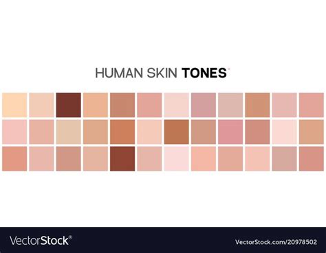 Skin Tone Color Chart Colors For Skin Tone Human Skin Texture