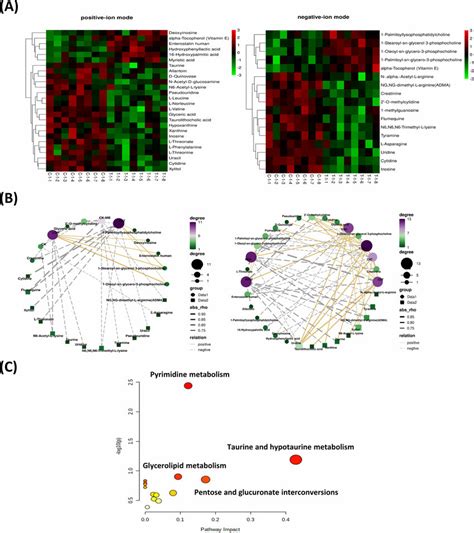 Identification Of Cardiac Metabolites And Correlation Analysis A The