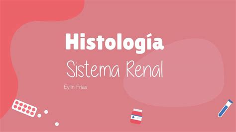 Histología Renal y Determinantes de la Filtración Andrea González uDocz