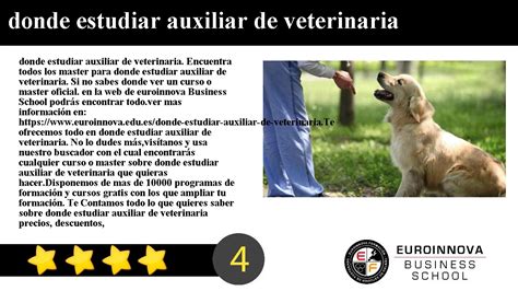 Donde Estudiar Auxiliar De Veterinaria Youtube