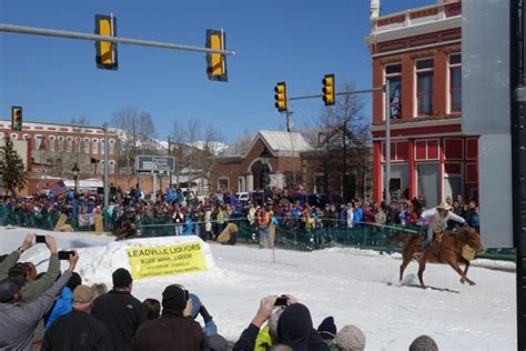 Fast & Flurrious: Horse Skijoring Equipment Explained - Horse Rookie