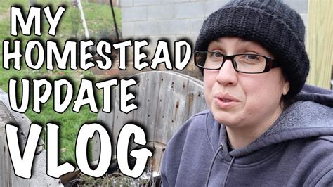 Whats Happening On The Homestead Homesteading Vlog Youtube