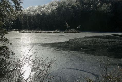 Heald Pond Pepperell Ma Pepperell Pond Hometown