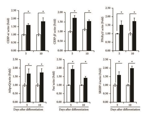 A Impact Of Lm On Adipogenic And Lipogenic Mrna Expression In T L