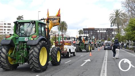 La tractorada de los agricultores este domingo en Córdoba en imágenes